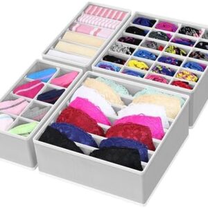 Simple Houseware 4-Pack Drawer Organizer Set - Closet Dividers for Underwear, Socks, Bras, Scarves, Ties - Foldable Non-Woven Storage Boxes, Gray